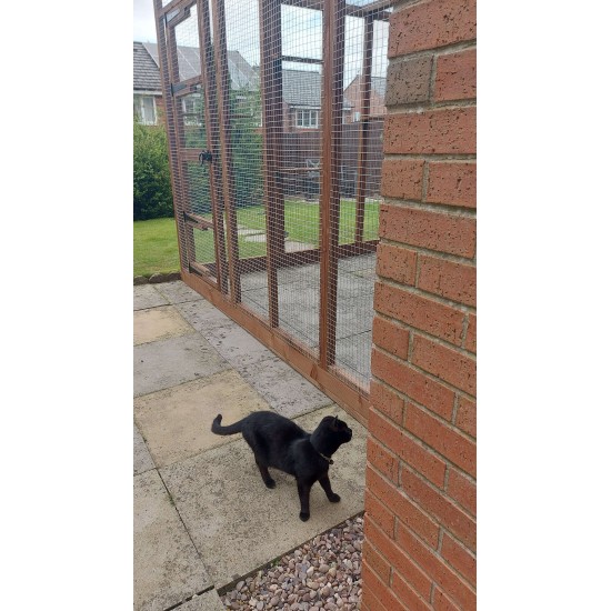 11ft x 16ft x 8ft High Catservatory Catio